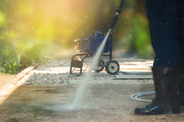 Animal Enclosure Cleaning in St Lawrence, PA